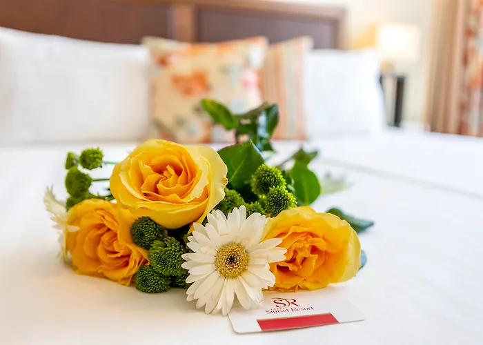 Sunset Apartment Pomorie